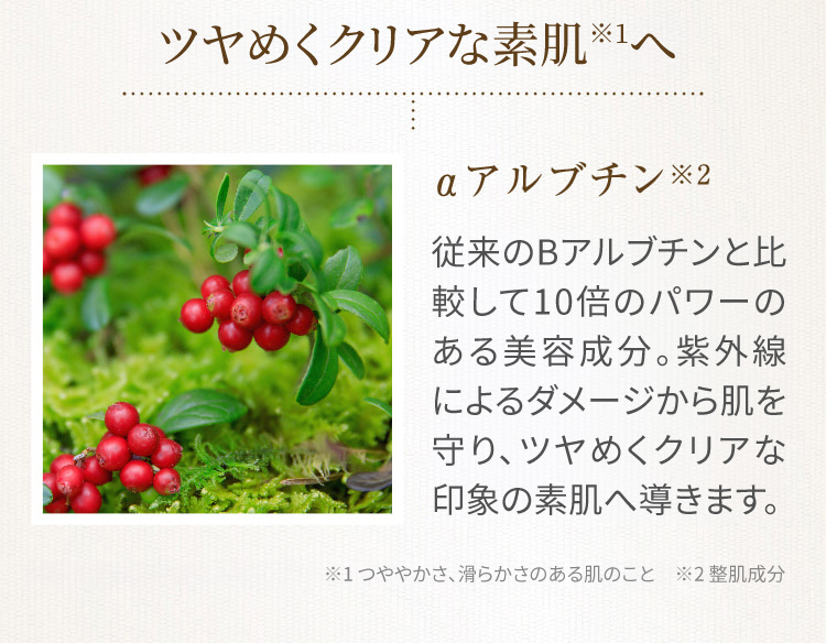 明るくクリアな素肌※1へ αアルブチン※2 従来のβアルブチンと比較して10倍のパワーのある美容成分。紫外線によるダメージから肌を守り、明るくクリアな印象の素肌へ導きます。 ※1 つややかさ、滑らかさのある肌のこと　※2 日焼けによるシミ・そばかすを防ぐ成分