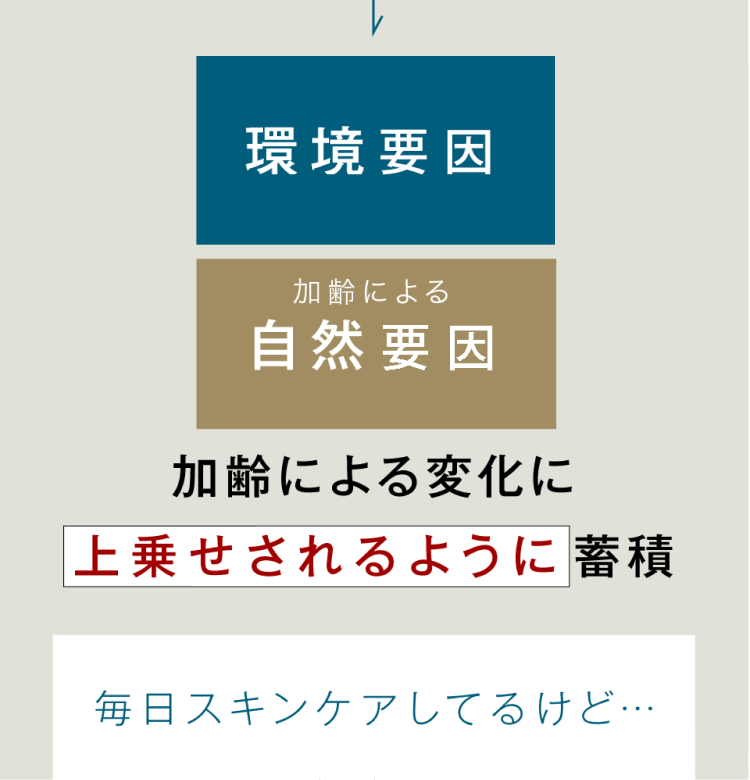 環境要因　加齢による自然要因