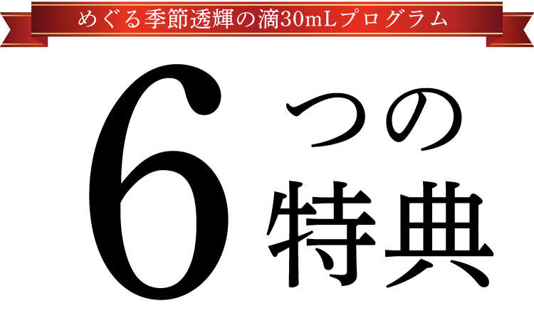 6つの特典