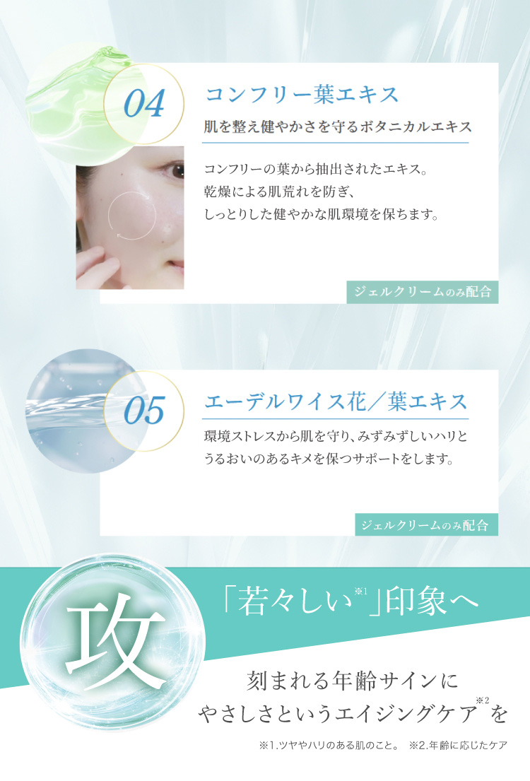 コンフリー葉