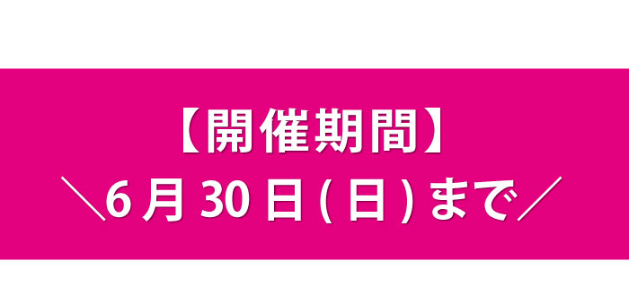 お電話・メルマガ会員限定キャンペーン04