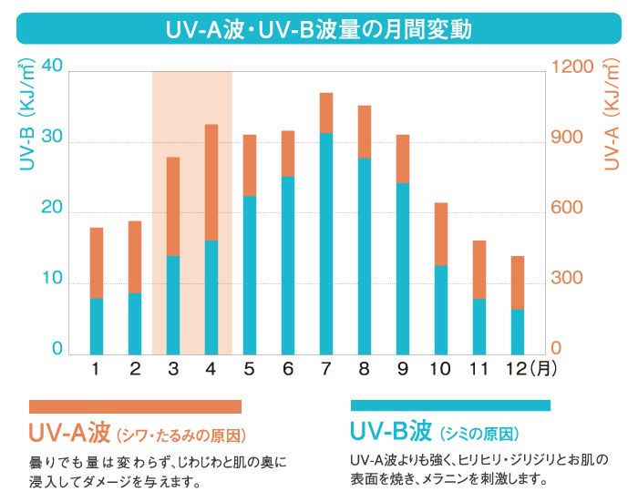 乾燥肌と健康なお肌の状態